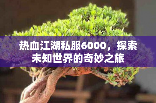 探索未知世界的奇妙之旅图片