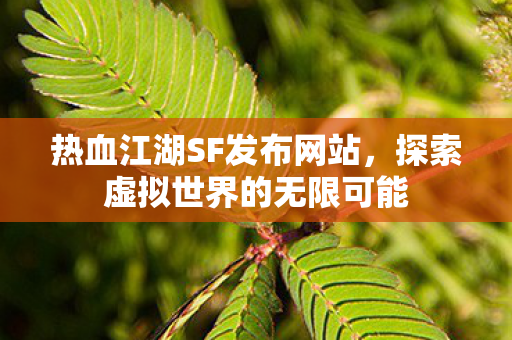 热血江湖SF发布网站，探索虚拟世界的无限可能