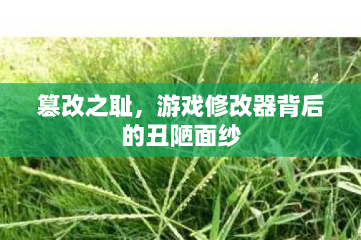 游戏修改器背后的丑陋面纱图片
