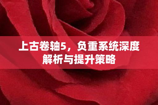 负重系统深度解析与提升策略图片