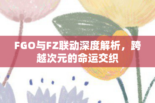 FGO与FZ联动深度解析图片