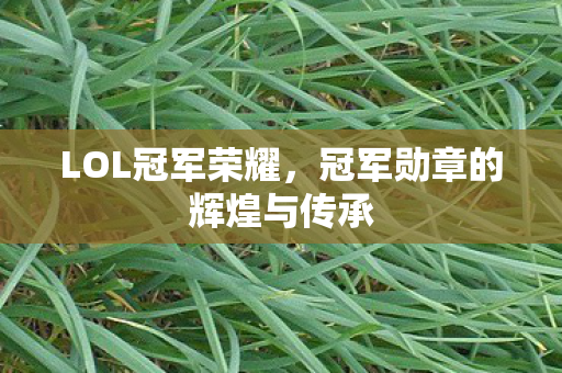 冠军勋章的辉煌与传承图片