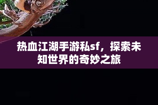 探索未知世界的奇妙之旅图片