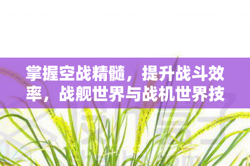 战舰世界与战机世界技巧图片