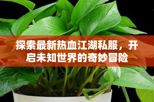 开启未知世界的奇妙冒险图片