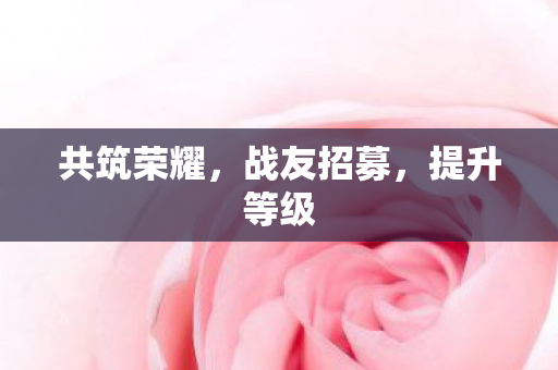 共筑荣耀图片