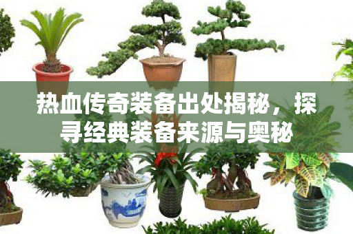 探寻经典装备来源与奥秘图片