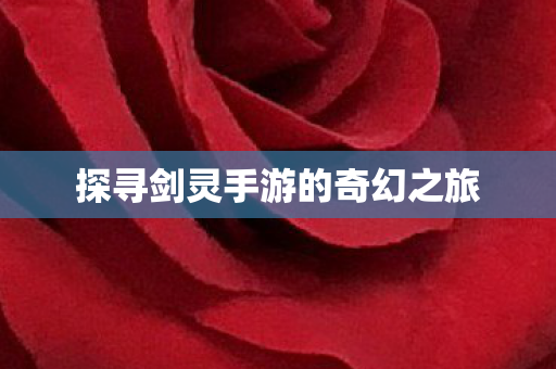 探寻剑灵手游的奇幻之旅图片