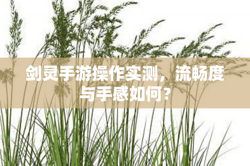 剑灵手游操作实测图片