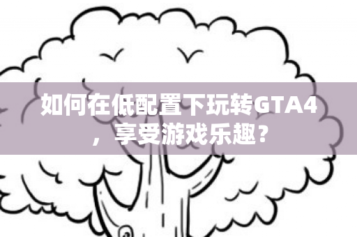 如何在低配置下玩转GTA4图片