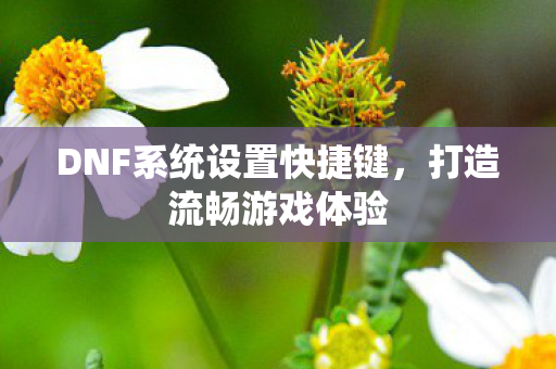 DNF系统设置快捷键图片