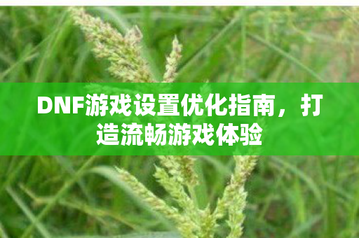 DNF游戏设置优化指南图片