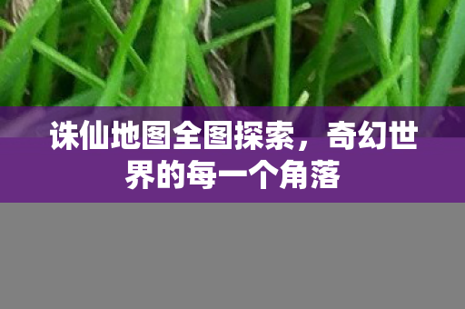 奇幻世界的每一个角落图片