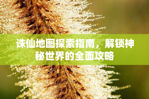 解锁神秘世界的全面攻略图片