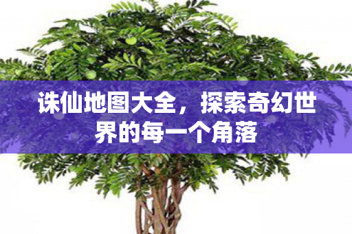 探索奇幻世界的每一个角落图片