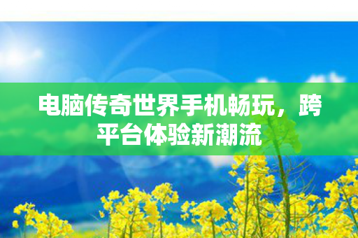 电脑传奇世界手机畅玩图片