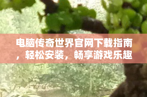电脑传奇世界官网下载指南图片