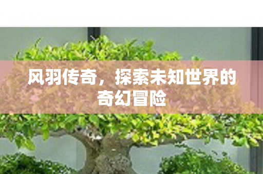 探索未知世界的奇幻冒险图片