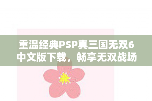 重温经典PSP真三国无双6中文版下载图片