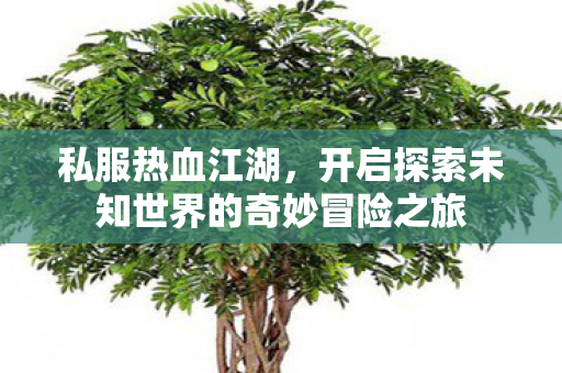 私服热血江湖,开启探索未知世界的奇妙冒险之旅 私服热血江湖,开启探索未知世界的奇妙冒险之旅