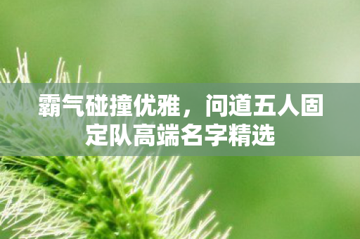 问道五人固定队高端名字精选图片