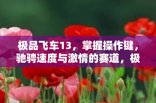 极品飞车13,掌握操作键,驰骋速度与激情的赛道,极品飞车13,掌握操作键,驰骋速度与激情的赛道 极品飞车13,掌握操作键,驰骋速度与激情的赛道,极品飞车13,掌握操作键,驰骋速度与激情的赛道