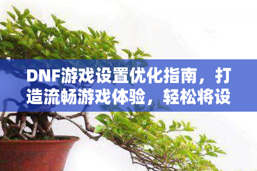 DNF游戏设置优化指南图片