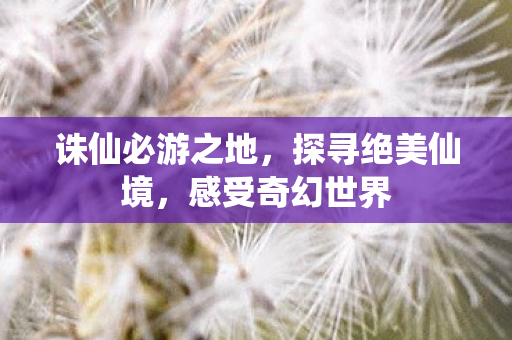 诛仙必游之地图片