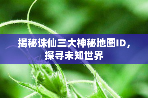 揭秘诛仙三大神秘地图ID图片