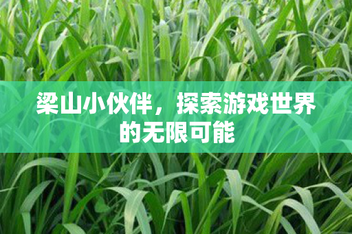 探索游戏世界的无限可能图片