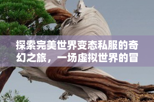 探索完美世界变态私服的奇幻之旅，一场虚拟世界的冒险与反思，探索虚拟世界，私服冒险与反思的奇幻之旅