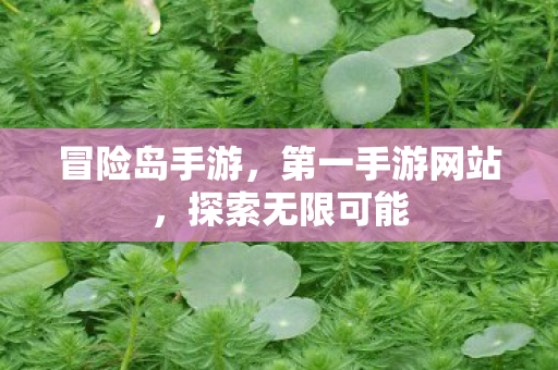第一手游网站图片