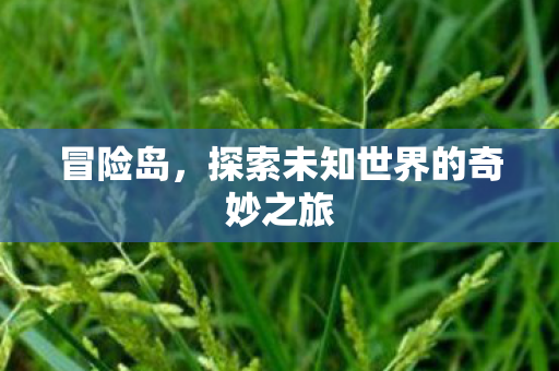 探索未知世界的奇妙之旅图片