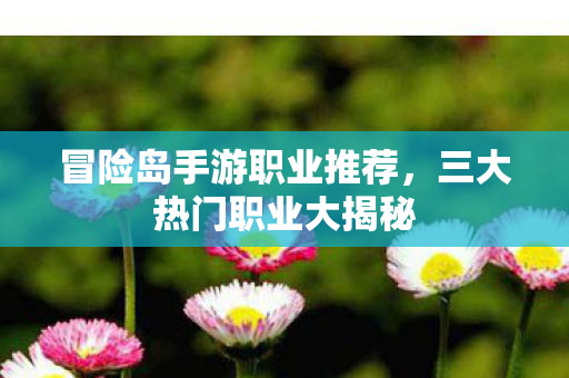 冒险岛手游职业推荐图片