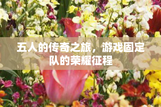 游戏固定队的荣耀征程图片
