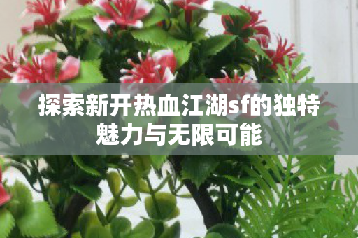 探索新开热血江湖sf的独特魅力与无限可能