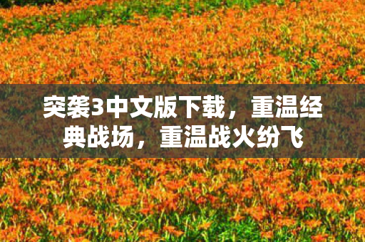 突袭3中文版下载图片