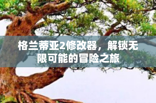 解锁无限可能的冒险之旅图片