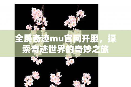 探索奇迹世界的奇妙之旅图片