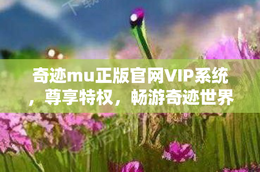 奇迹mu正版官网VIP系统图片