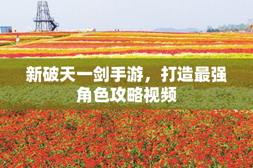 打造最强角色攻略视频图片