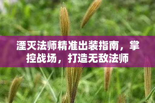 湮灭法师精准出装指南图片