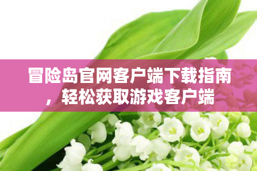 冒险岛官网客户端下载指南图片