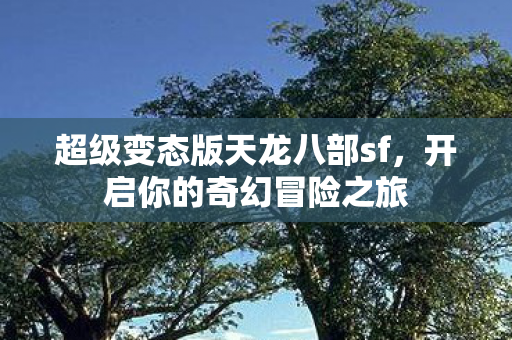 超级变态版天龙八部sf图片