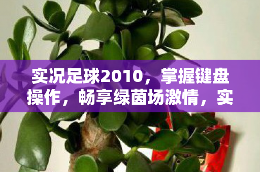 实况足球2010,掌握键盘操作,畅享绿茵场激情,实况足球2010,掌握键盘操作,畅享绿茵场激情 实况足球2010,掌握键盘操作,畅享绿茵场激情,实况足球2010,掌握键盘操作,畅享绿茵场激情