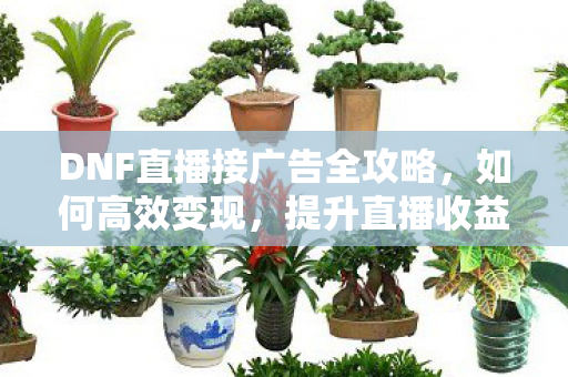 DNF直播接广告全攻略，如何高效变现，提升直播收益？