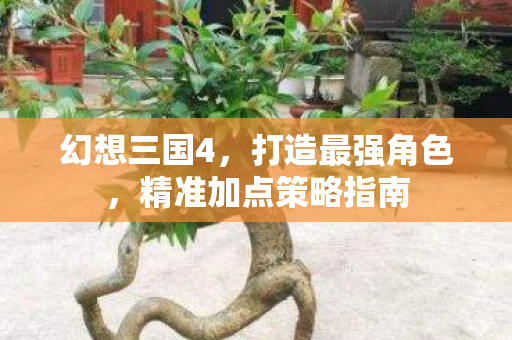 精准加点策略指南图片