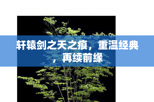 轩辕剑之天之痕图片