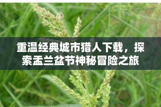 探索盂兰盆节神秘冒险之旅图片