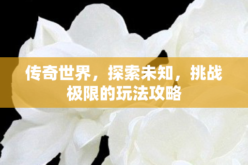 挑战极限的玩法攻略图片